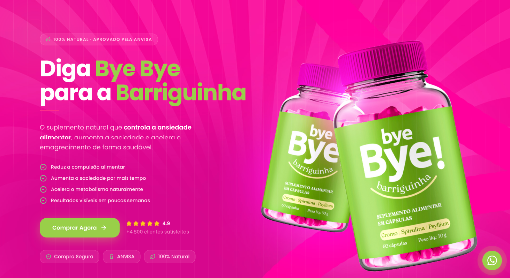 Screenshot do site Bye Bye Barriguinha